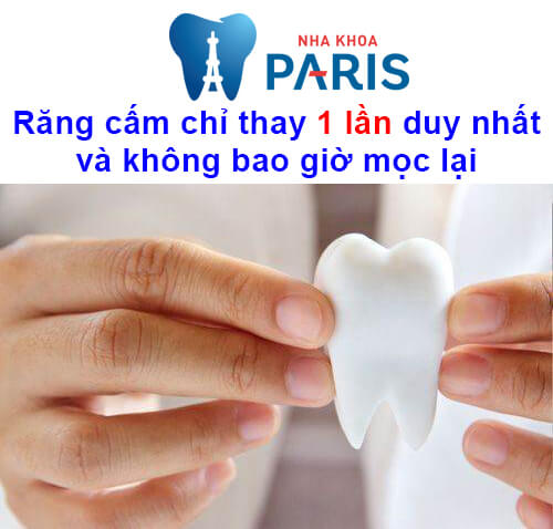 Răng cấm là gì